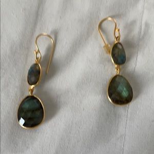 Laborderite earrings